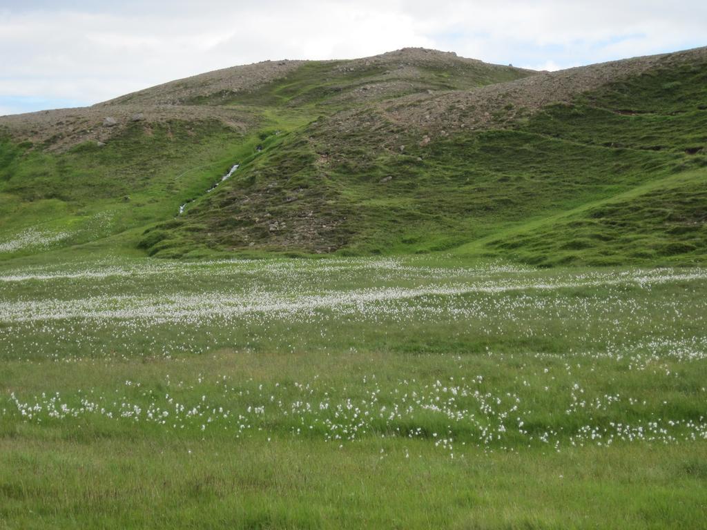 Guesthouse Gimbur Reykjarholl 외부 사진